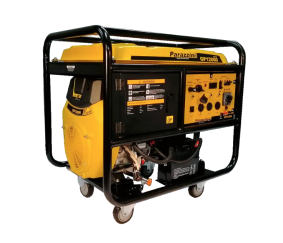 Generador Parazzini GP12000