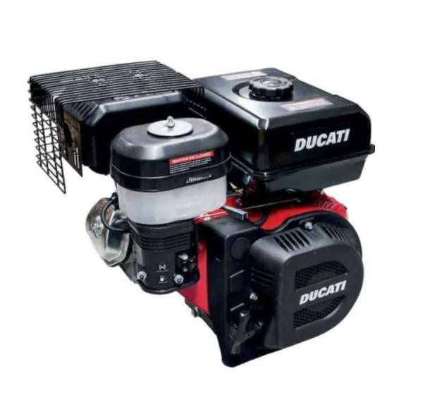 Motor Ducati DPE 270